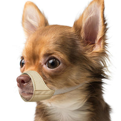 Mayerzon museau petit chien nez court oxford, confort durable lors des promenades.
