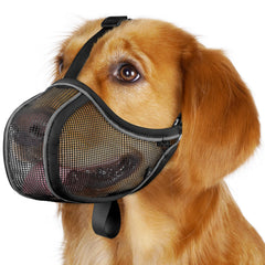 Muselière Mayerzon en maille respirante pour chien, port confortable et aéré.