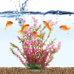 Mayitr Rhodo Red: feuillage coloré pour animer l’aquarium sans soins quotidiens.
