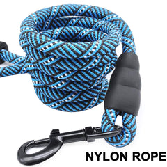 MayPaw laisse-chien crochet métal 36 g, crochet robuste pour les jeux et les tirages.