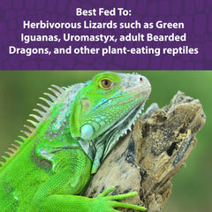 Mazuri Nourriture Reptiles Herbivores: probiotiques vivants, aide potentielle à la digestion.