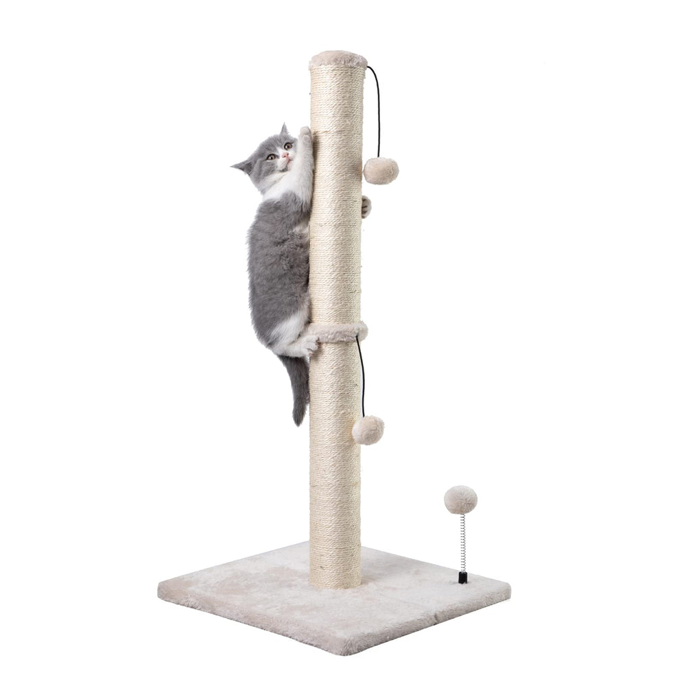 MECOOL Arbre à chat 34 pouces ensemble: espace complet pour griffoirs et jeu.