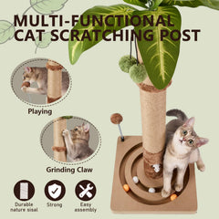 MECOOL Arbre à Chat: ballon suspendu pour stimulations dynamiques