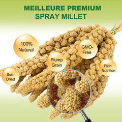 MEILLEURE millet-en-spray-portion-quotidienne : portions faciles à doser pour la routine des oiseaux.