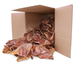 GigaBite oreilles de porc entières pour chiens, mastication longue et naturelle.