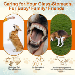Mekseks bouchées probiotiques pour chien, enzymes digestives incluses pour faciliter la digestion.