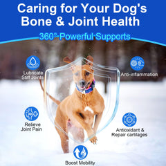 Mekseks glucosamine-chondroitine pour chien, confort articulaire et mobilité.