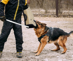 MelkTemn baton agitation entrainement: outil polyvalent