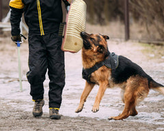 MelkTemn baton-agitation : outil pour stimuler le travail et le contrôle du chien