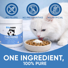 MEMOCORE Kittysupps Taurine pour chats – énergie soutenue pour les jeux quotidiens