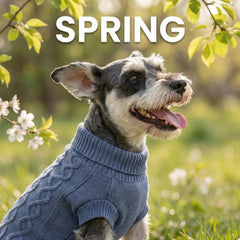 Gros plan sur le tricot doux MengMengDa pour chien.