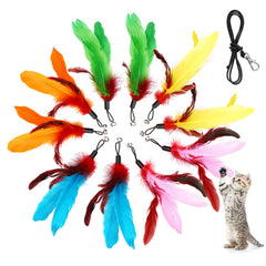 MeoHui 11 pièces plumes pour chat – stimule l'instinct de chasse et l'amusement.