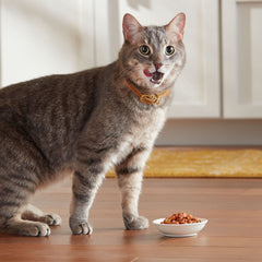 Meow Mix, tasses à couvercles pelables, repas rapide sans ouvre-boîte.