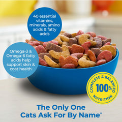 Gros plan sur les croquettes Meow Mix Méli-Mélo Fruits de Mer, protéine de qualité.