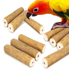 Meric CoCoo Bark Sola Sticks utilisées en cage pour stimulation mentale.
