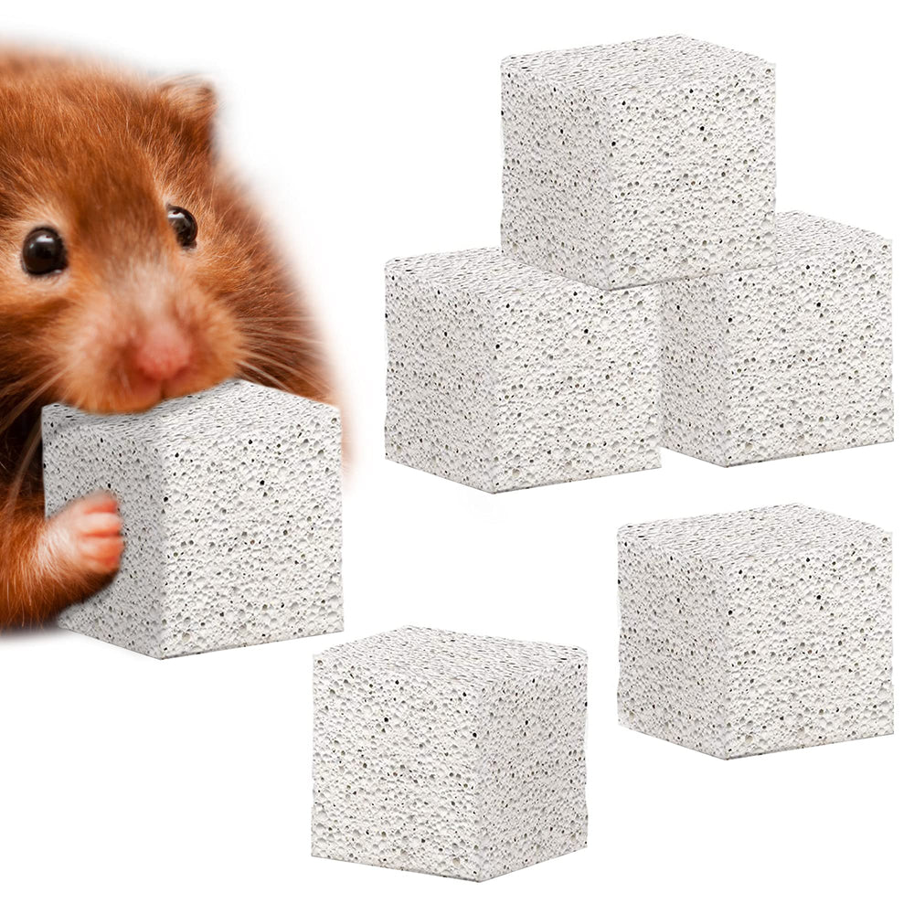 Meric CoCoo pierre-lave-grindante pour petits animaux, entretient dents et stimule le jeu.