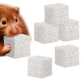 Meric CoCoo pierre-lave-grindante pour petits animaux, entretient dents et stimule le jeu.