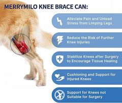 MerryMilo genou-chien : tissu doux pour le confort quotidien et la protection.