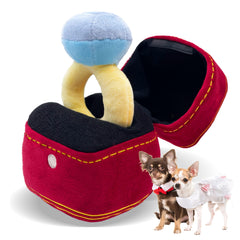 Mewcho boîte-bague peluche, jouet ludique pour engagement et fête canine