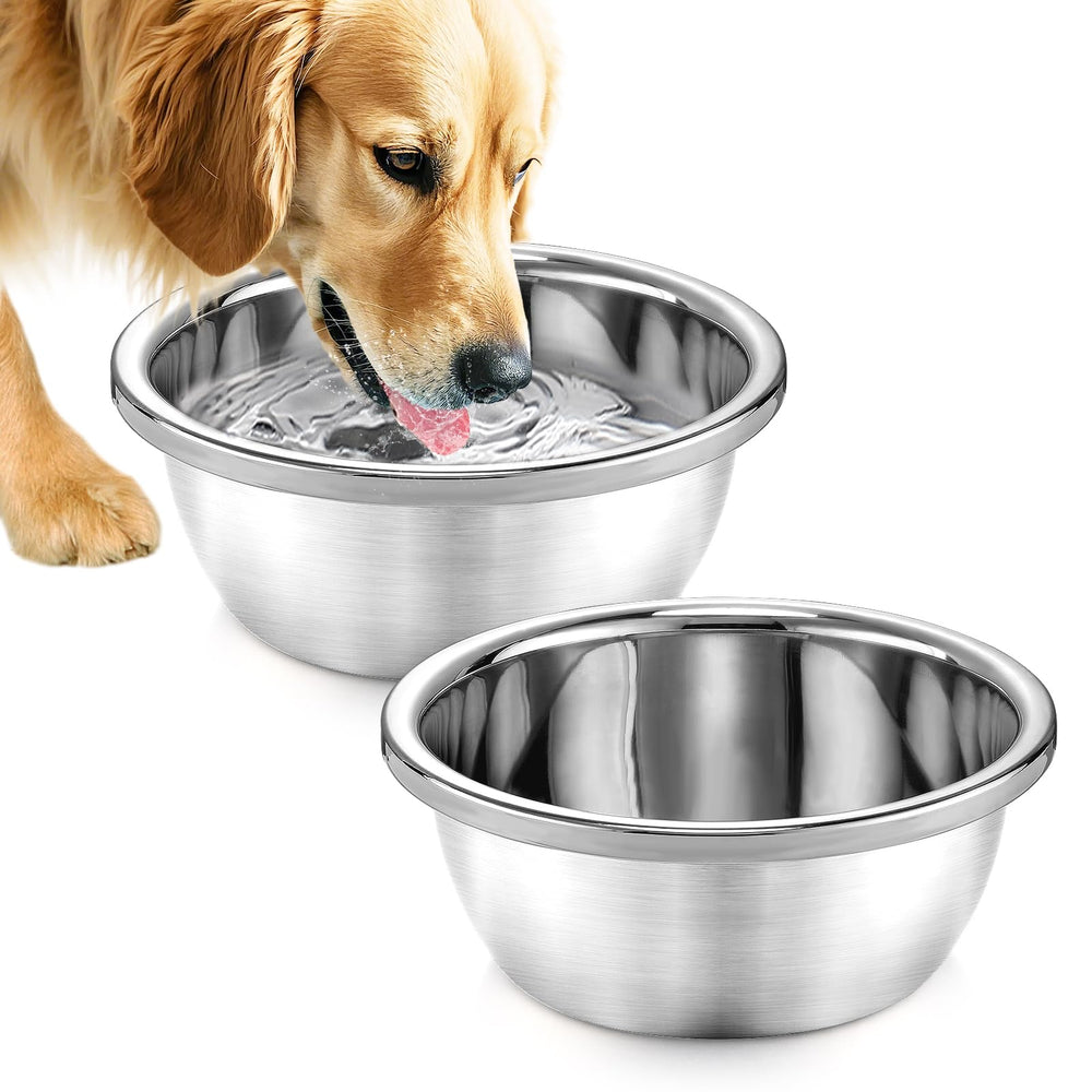 ensemble MEWTOGO de bols chien grands pour repas pratique en intérieur et extérieur