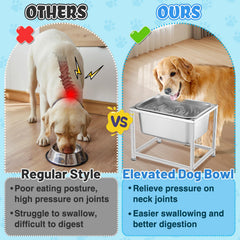 Support elevateur MEWTOGO stable, ideal pour repas sans derapage.