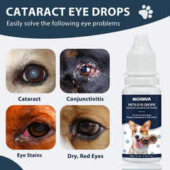 Mgviiiva gouttes cataracte chien — pipette pour application en douceur.