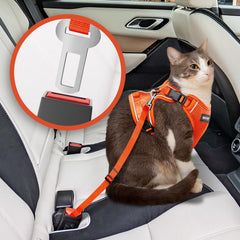 Laisse chat MHHYQF douce et légère pour promenades quotidiennes