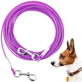 Mi Metty câble d’attache 50 pieds pour chien, liberté en extérieur avec sécurité.