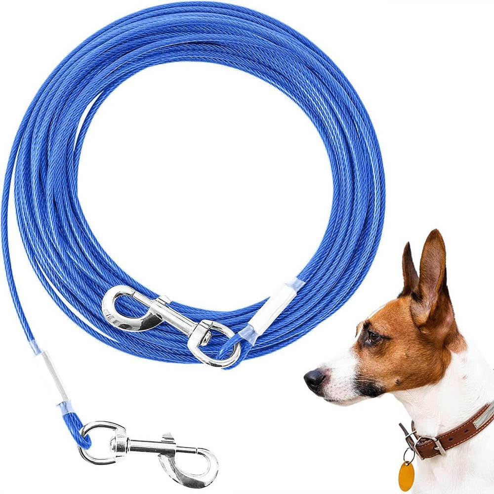 Mi Metty câble d'attache chien 50 pieds offre liberté contrôlée lors des sorties.
