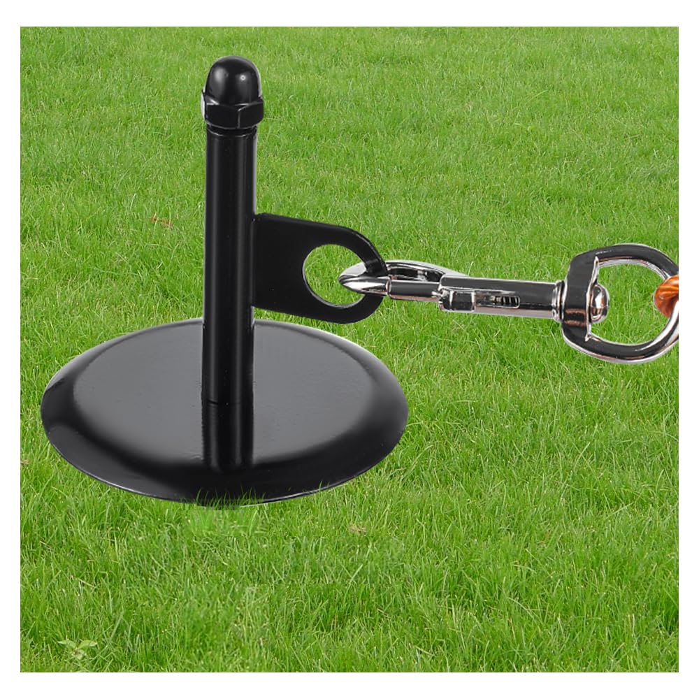 Mi PupJoy piquet d ancrage rotation 360°, liberté sans enchevêtrement pour chien.