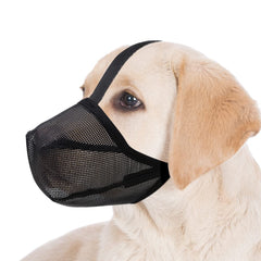 Miavers muserolle pour chien en mesh doux et pliable, confort quotidien