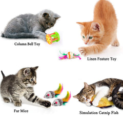 MIBOTE poisson peluche chat, douceur et jeu interactif pour intérieur.