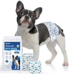 MICOOYO couche chien mâle absorbante pour entraînement propre