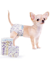 MICOOYO couches jetables chien femelle XS — confort et ajustement précis
