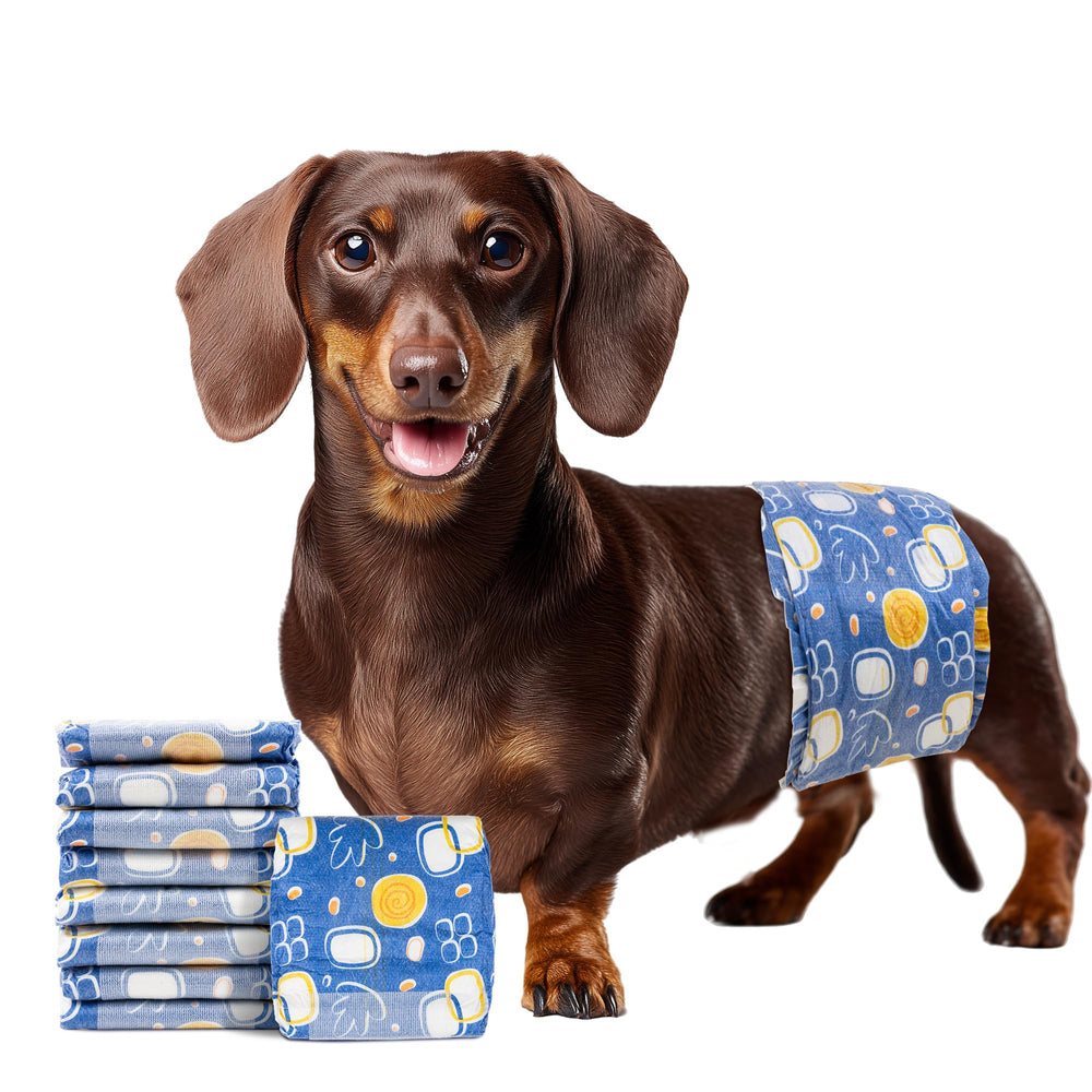 MICOOYO couches chien male à absorption élevée, pour une tranquillité lors des sorties et déplacements.