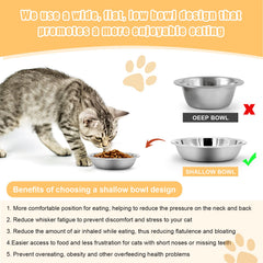 MicoSim bol chat inox 304 usage quotidien avec variété d'aliments.