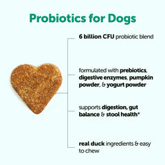 Micro Ingredients Probiotiques chien : soutien digestif quotidien, format pratique.