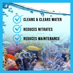 Élimination des odeurs dans l’aquarium grâce à MICROBE-LIFT Special Blend.