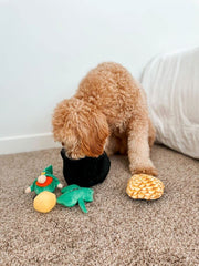 Midlee Hide-A-Toy trefle-peluche: trèfle en peluche pour jeu doux et captivant.
