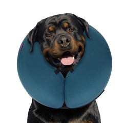 MIDOG collier anneau gonflable doux protège les plaies tout en laissant manger.