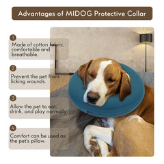MIDOG collier protection incisions empêche l’accès aux plaies.