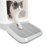 Midollarle Rampe pour chat sur litière, accessible et sécurisée pour les seniors.