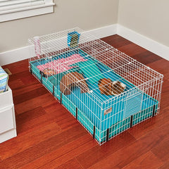 MidWest Cobaye Habitat Plus: dimensions 8 pieds carrés pour plusieurs cobayes.