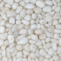 Midwest Hearth galets blancs polis parfaits pour terrarium et décor floral lumineux