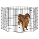 MidWest enclos pliable pour chien intérieur et extérieur, espace de jeu sûr.