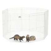 MidWest Homes for Pets Ferret Nation – panneaux époxy blancs, espace de jeu sûr.