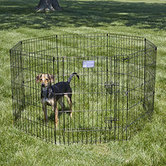MidWest Homes for Pets enclos: porte large et pratique pour faciliter l'accès du chien