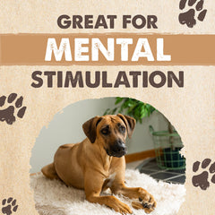 Mighty Paw chiots mordillant des élans pour stimulation mentale.