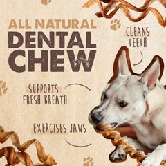 Texture torsadée du Curly Bully Stick pour chien actif