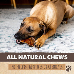 Mighty Paw texture ferme pour macher : plaisir et mastication soutenus.
